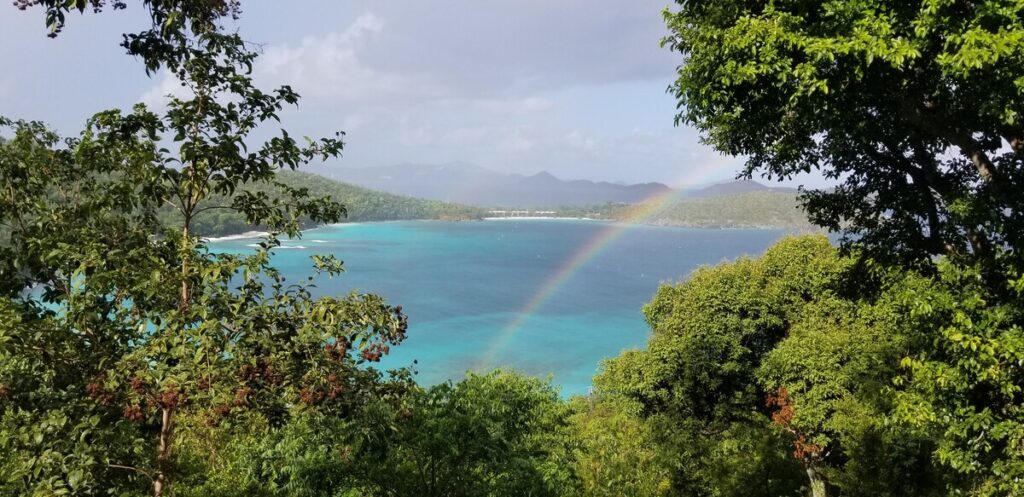 Hawksnest Cottage - Airbnb St. John US Virgin Islands